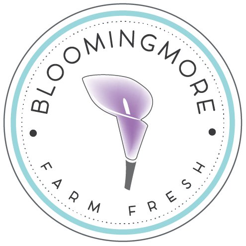 bloomingmore-inbloomgroup-doral-chamber-of-commerce