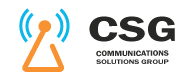 CSG Consulting Services doral chamber