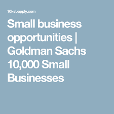 Small business opportunities/Goldman Sachs 10,000 Small Businesses