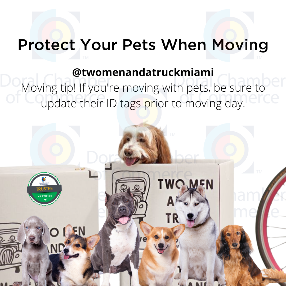 Protect Your Pets When Moving!