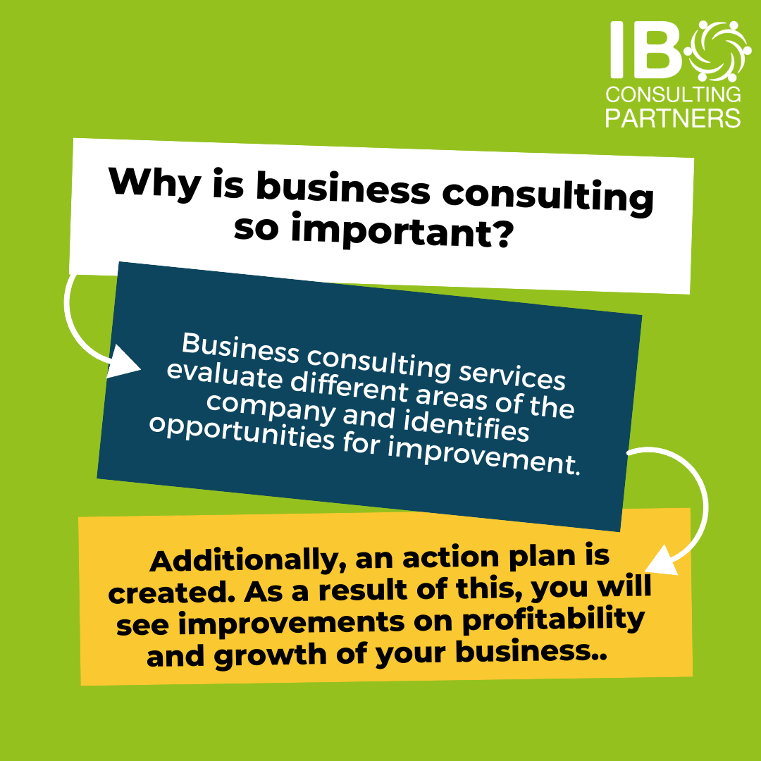 IB Consulting Partners services evaluate different areas of the company and identifies opportunities for improvement.