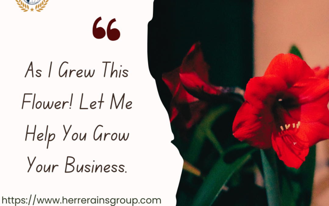 THE HERRERA INSURANCE GROUP, CLL  GROW YOUR BUSINESS WITH HERRERA INS. GROUP