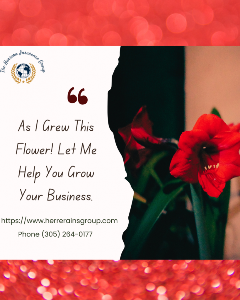 THE HERRERA INSURANCE GROUP, CLL GROW YOUR BUSINESS WITH HERRERA INS. GROUP