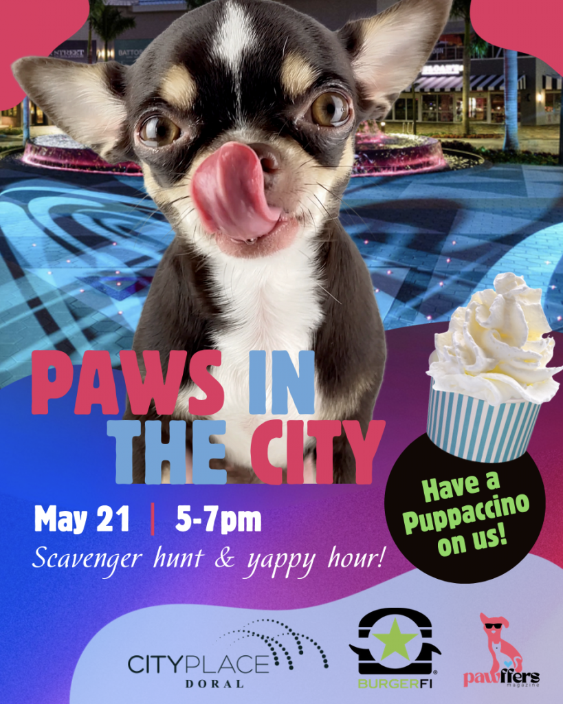 CityPlace Doral PAWS IN THE CITY