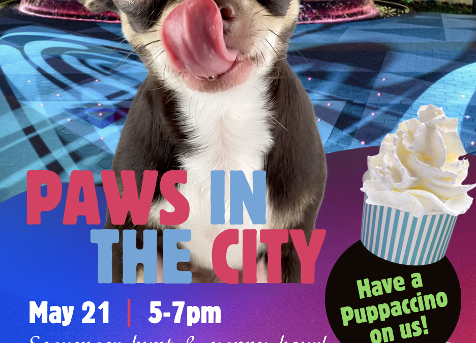 CityPlace Doral Paws in the City