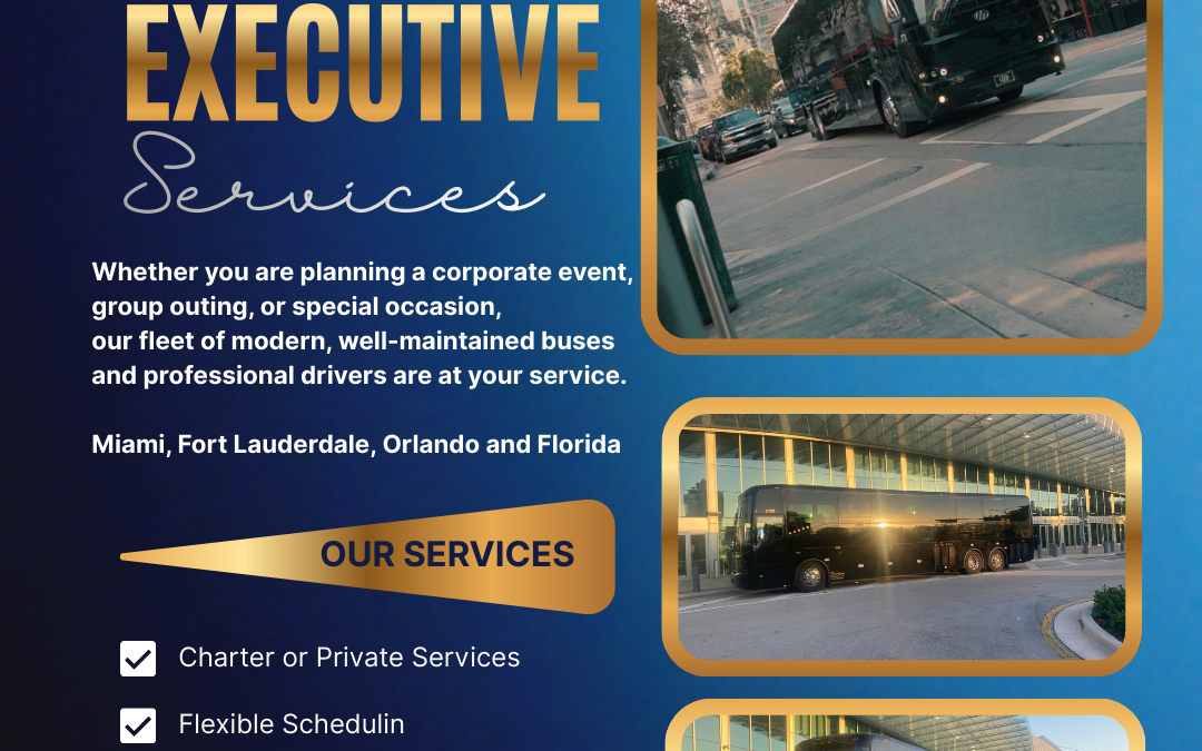USA CARIBBEAN TOURS CORP  New Executive Buses