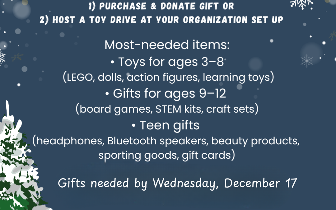 Youth Co-Op, Inc.  Holiday Gift Drive