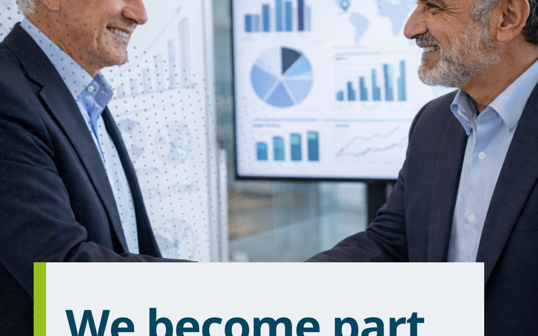 IB Consulting Partners