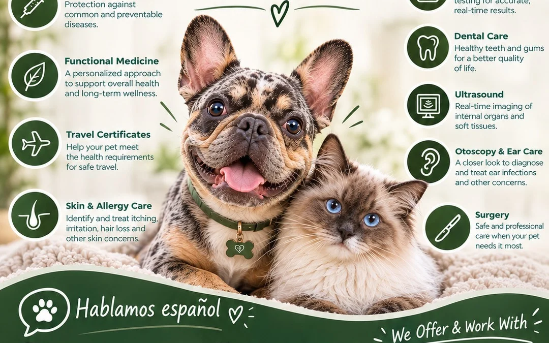 Happy Tails Veterinary Care – Healthy Pets, Happier Lives!